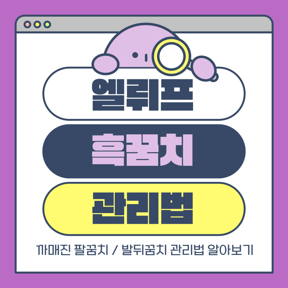 엘뤼프 이미지