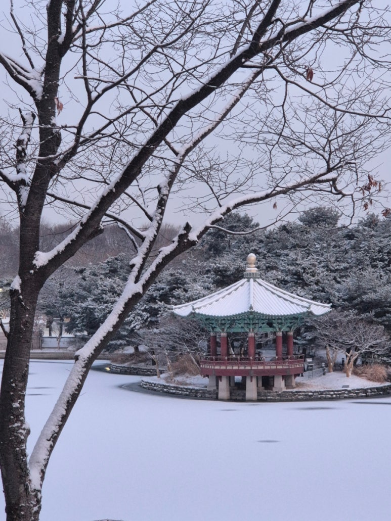 중앙라이프 이미지