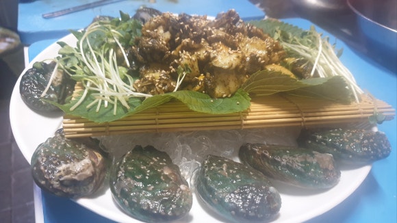 오징어바다 이미지
