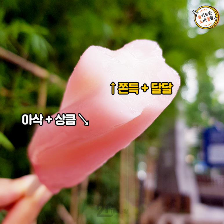 조아아이스크림 이미지