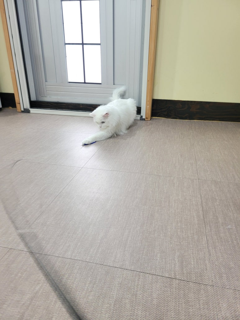 호텔하루 이미지