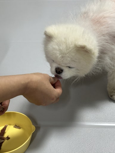 소미담천안통정점 이미지