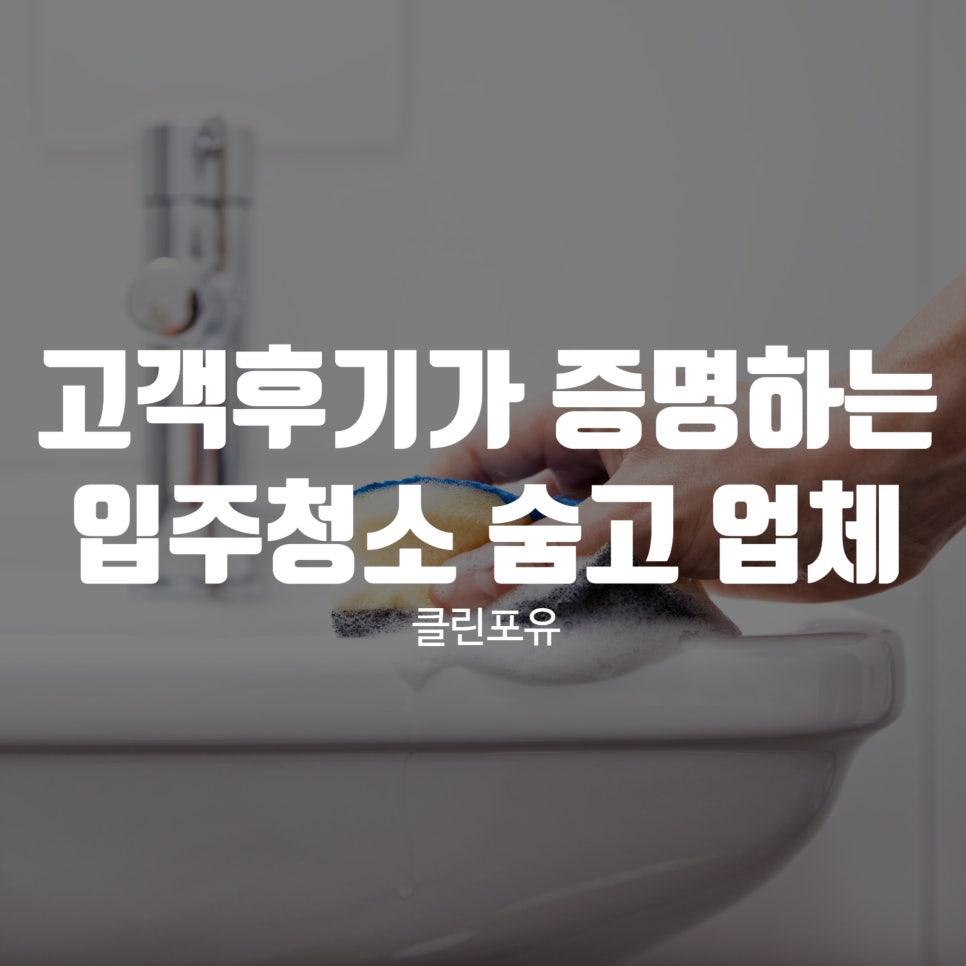 클린포유 이미지