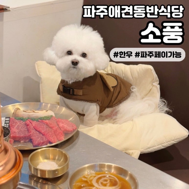 소풍정육점 이미지