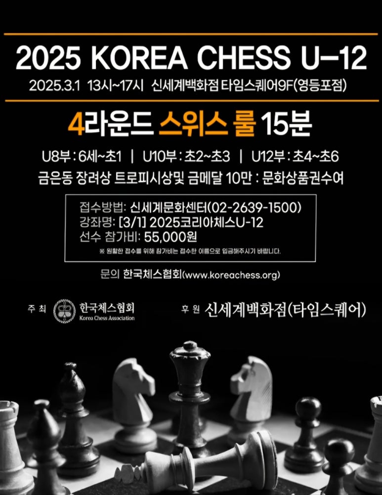 한국체스협회 이미지