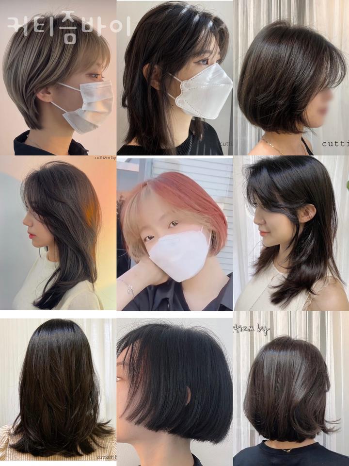 커티즘바이 이미지