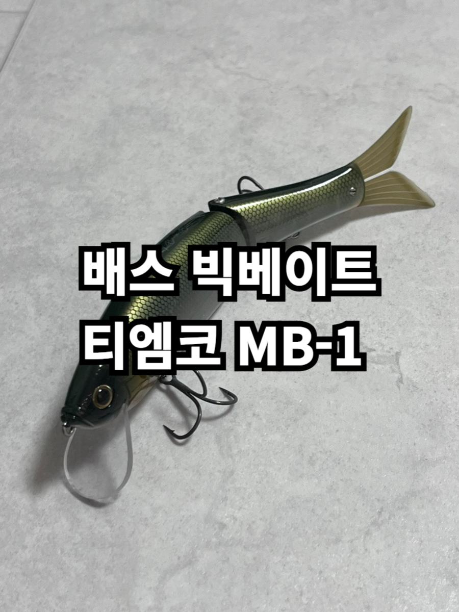 티엠코 이미지