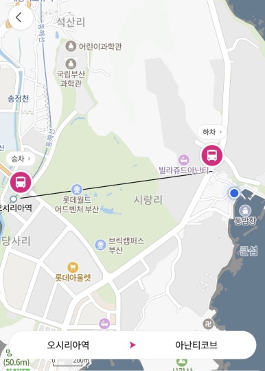 파로드시랑 이미지