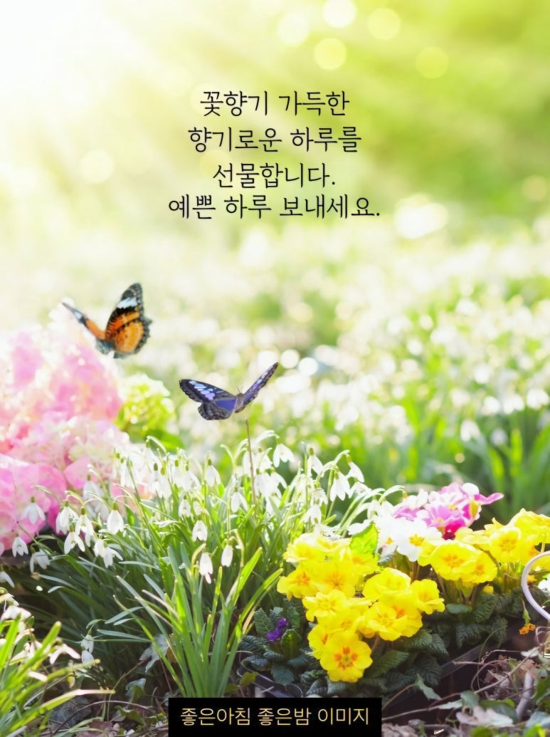 예쁜하루 이미지