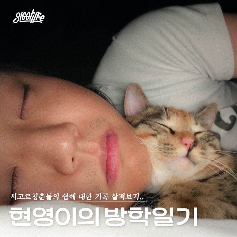 시고르청춘 이미지