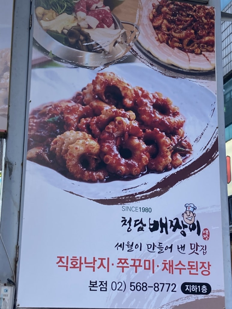 청담배짱이 이미지