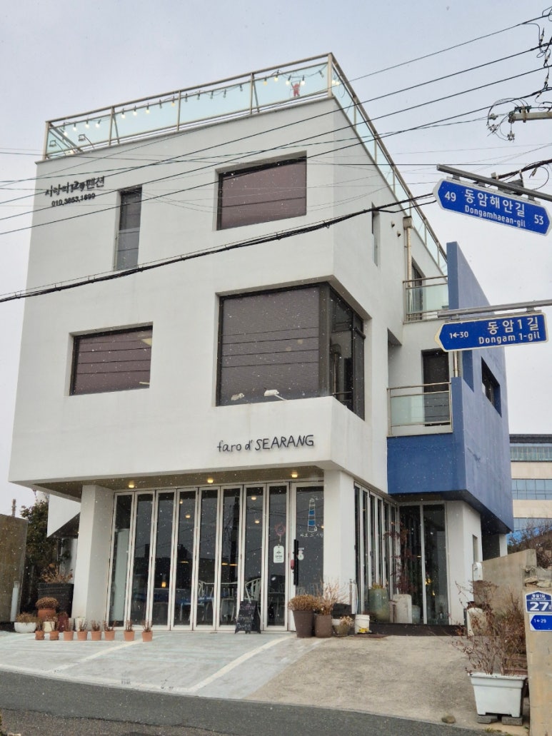 파로드시랑 이미지
