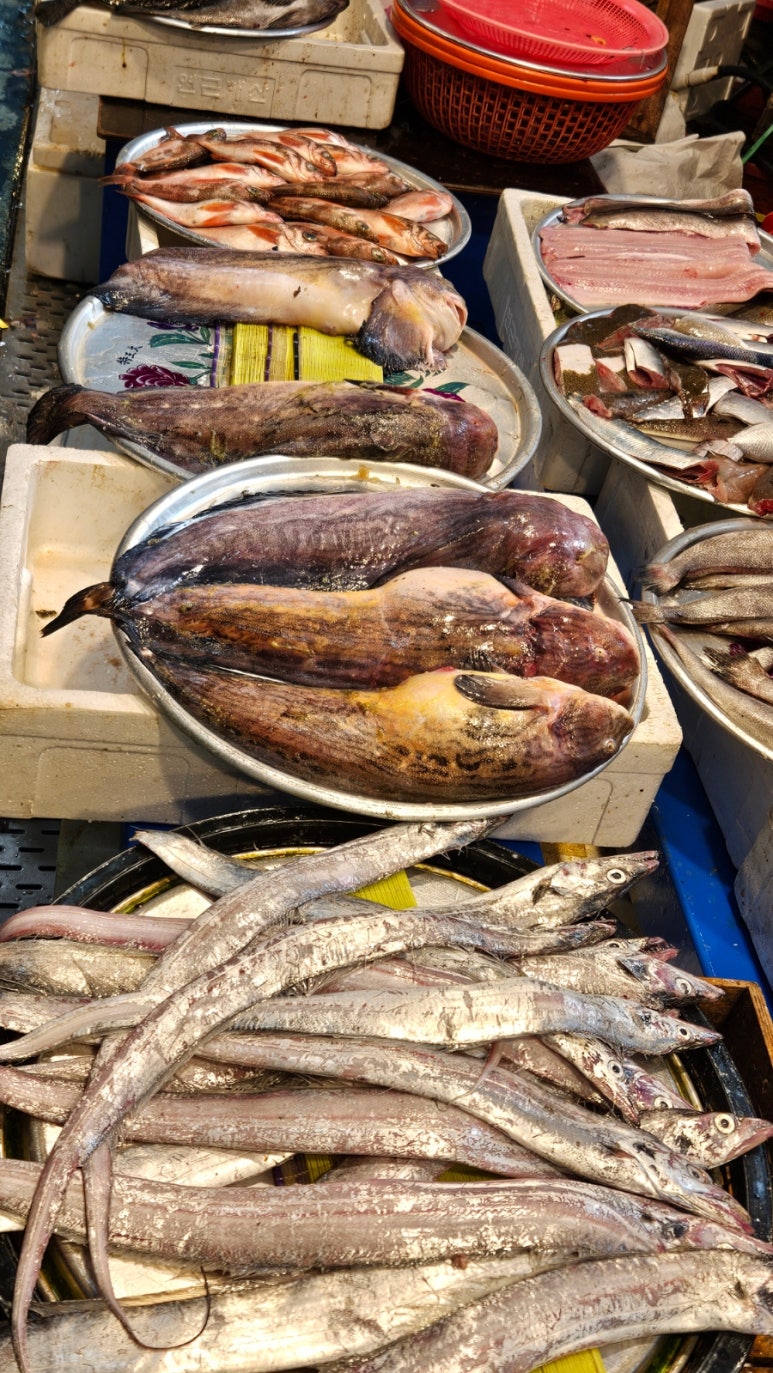 용궁수산 이미지
