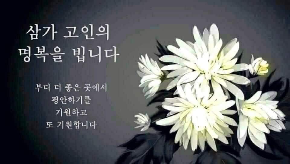 해뜰날 이미지