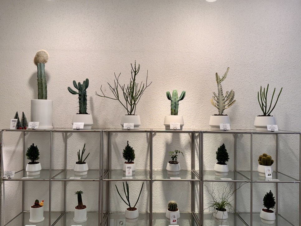 오백샵 이미지