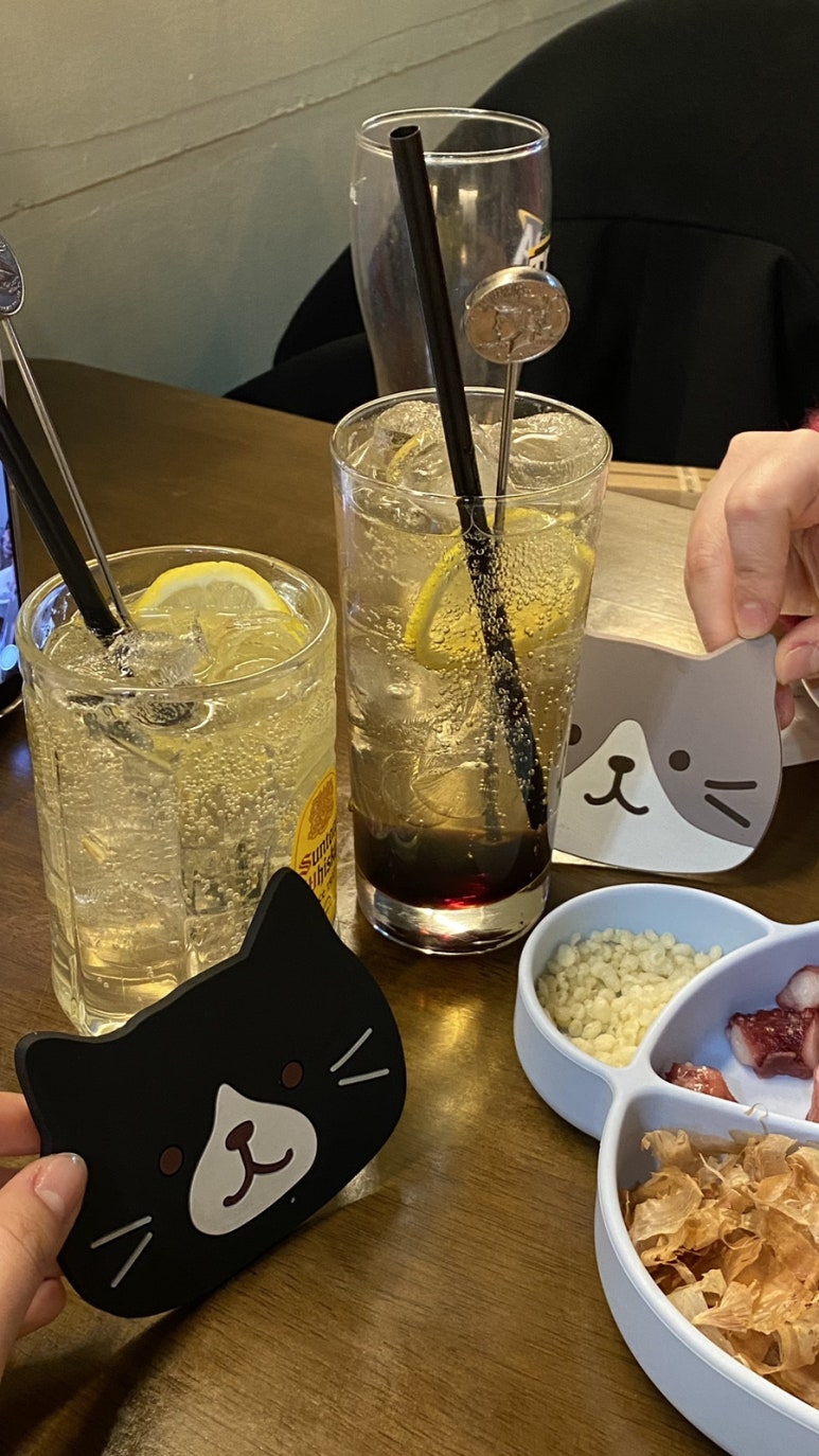 타코하이 이미지