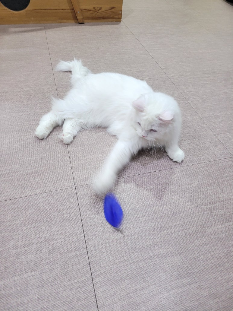 호텔하루 이미지