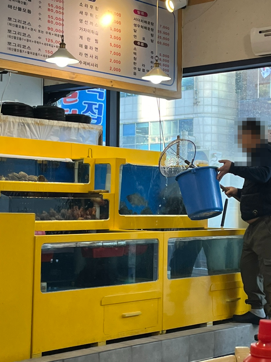 뽀그리회수산 이미지