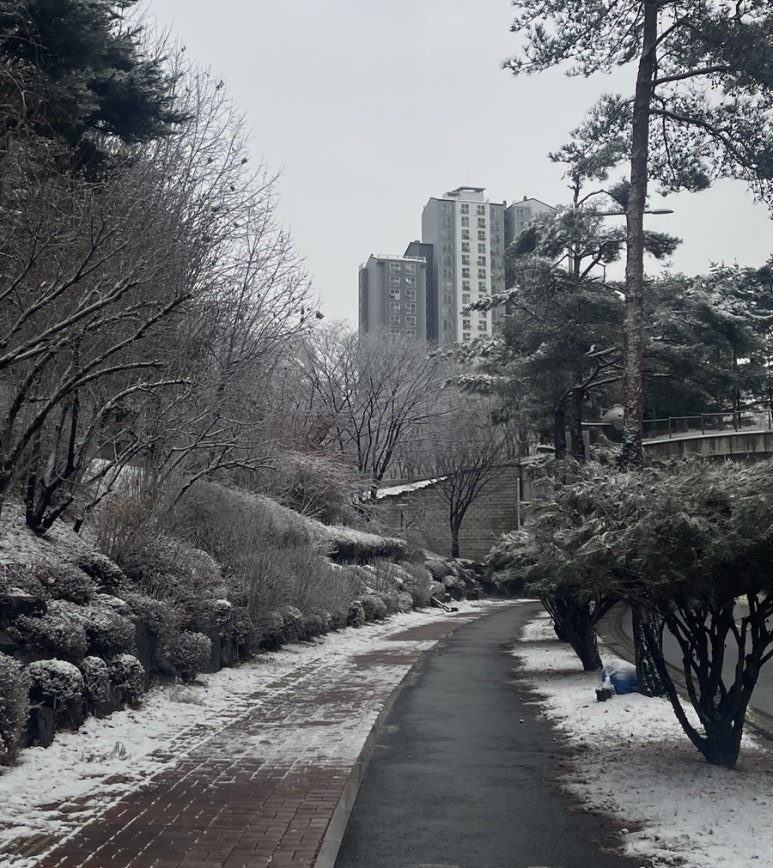 발레슈학원 이미지