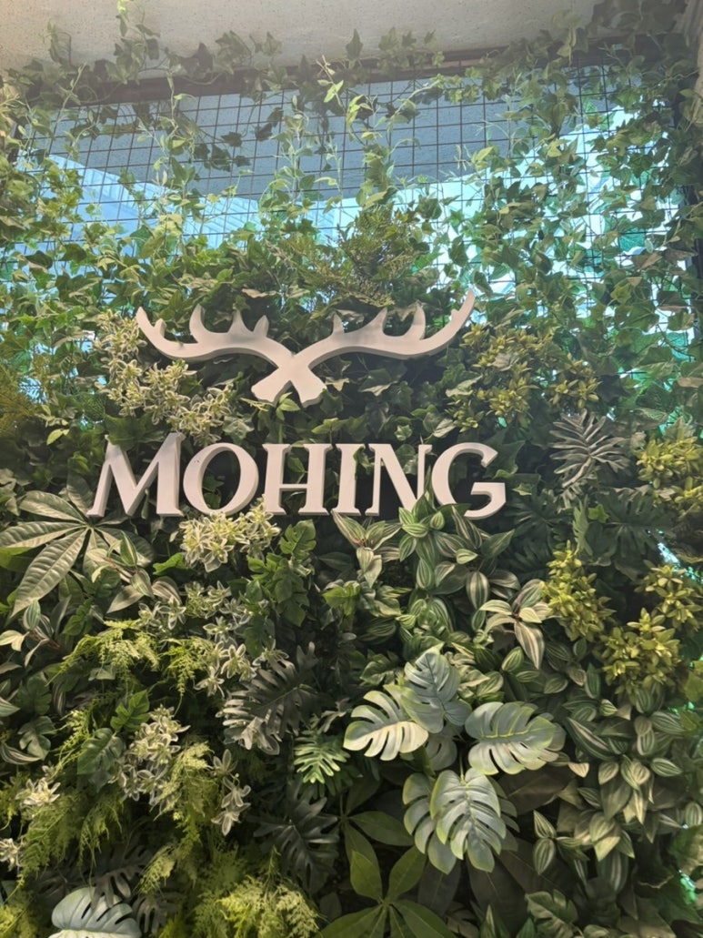 모힝 이미지
