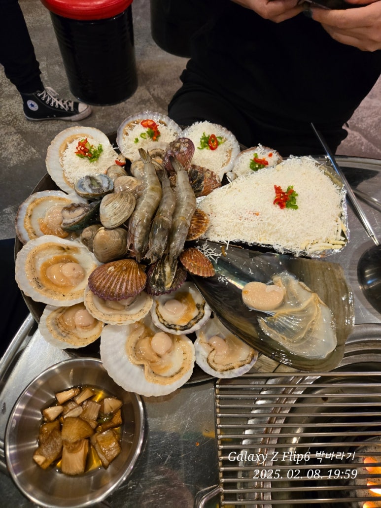 해물308 이미지