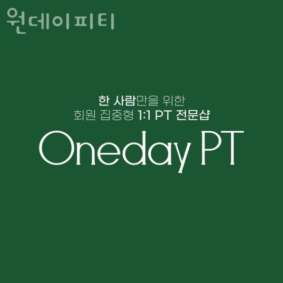 원데이피티 이미지