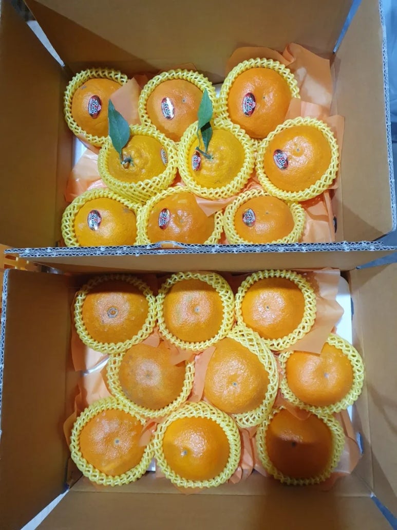 양산시농수산물종합유통센터 이미지