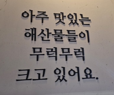회뜨는중 이미지