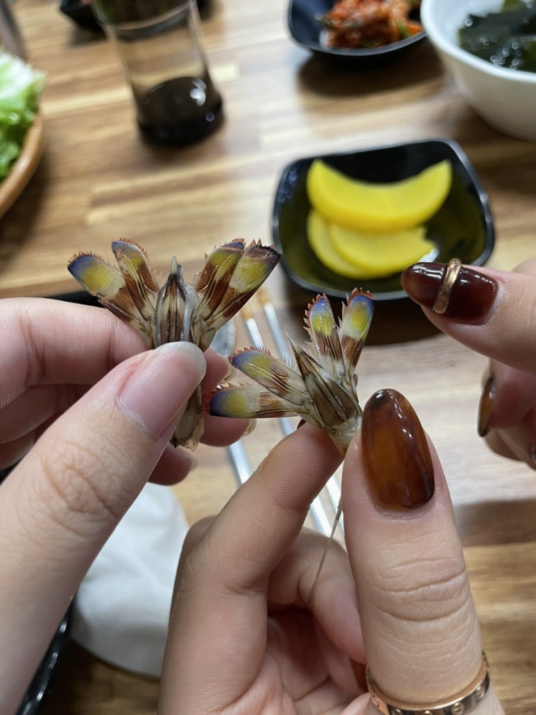 화니네일 이미지