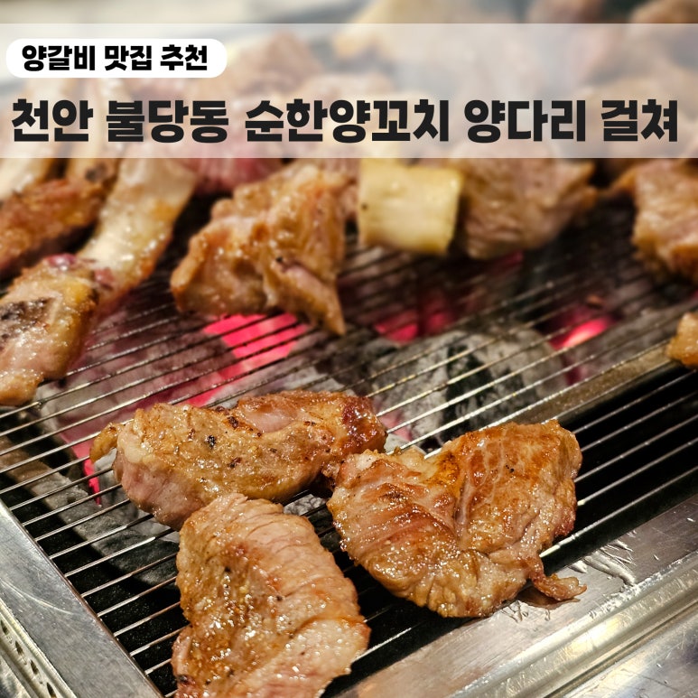 순한양꼬치양다리걸쳐 이미지