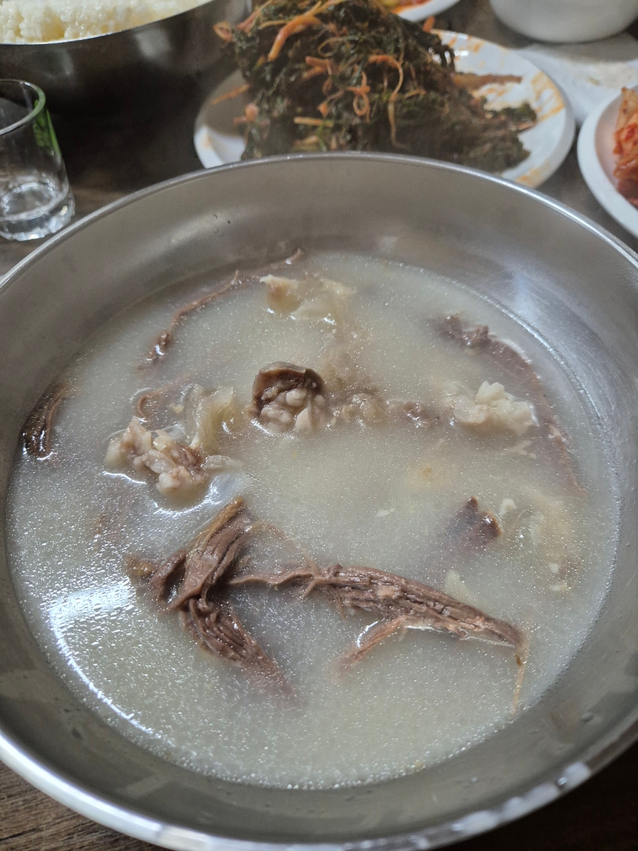 참조은고기 이미지