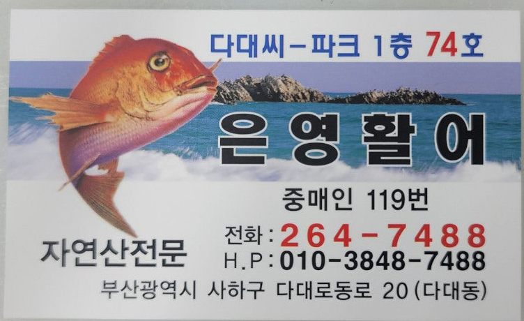 은영활어 이미지