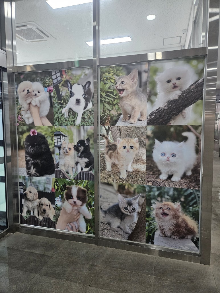 젊은간판 이미지