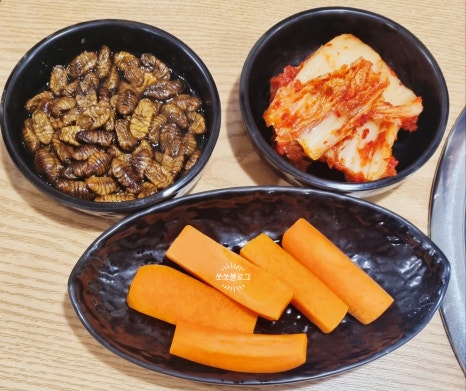 뽀그리회수산 이미지