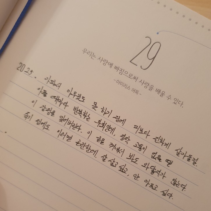 더아름다운세상 이미지