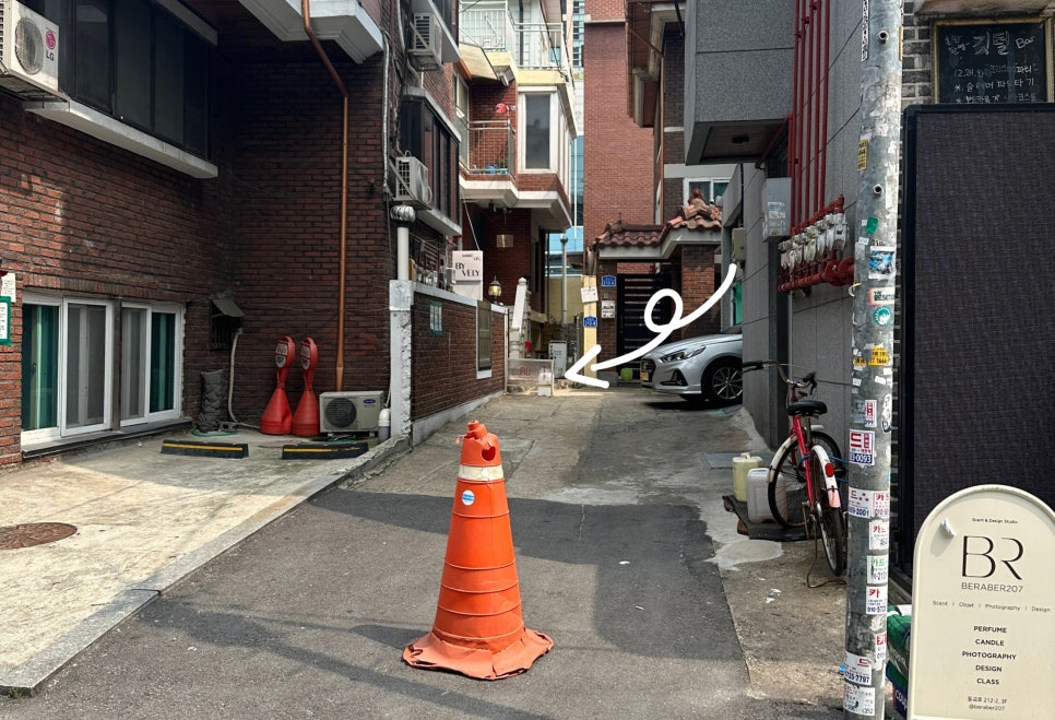 뇨끼테리아 피우 이미지