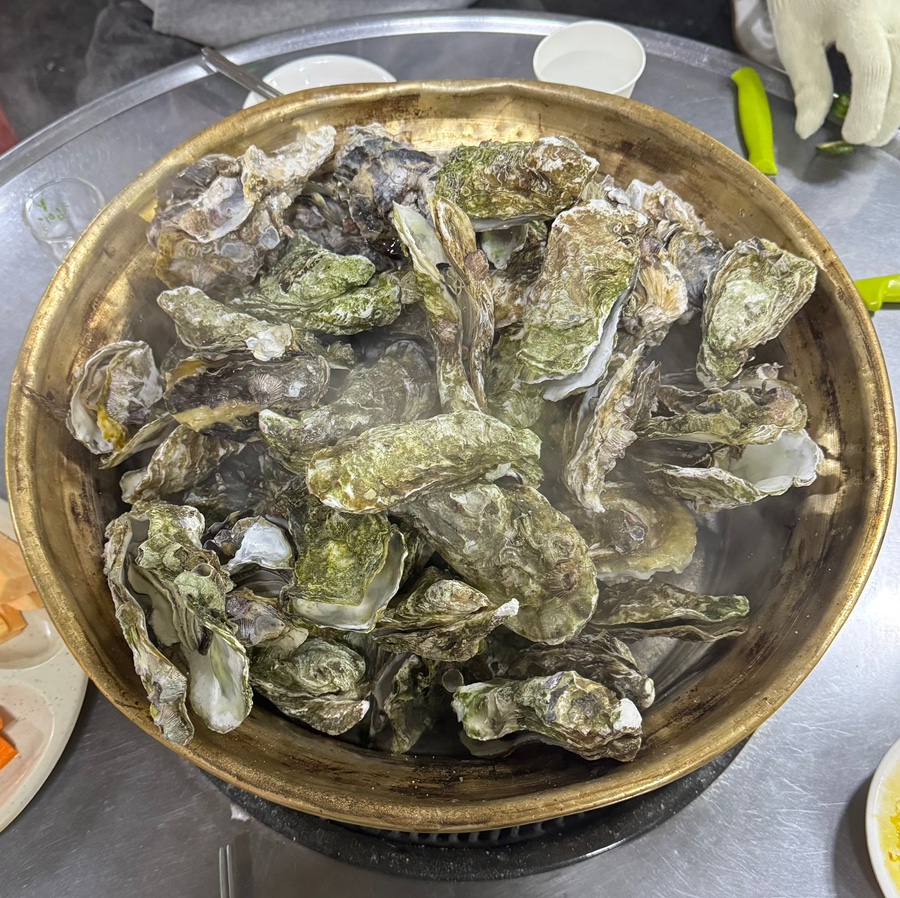 병팔이네 이미지