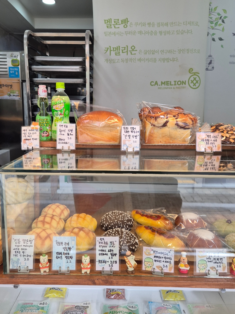 카멜리온 이미지