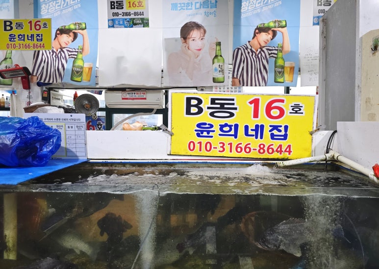 격포집 이미지