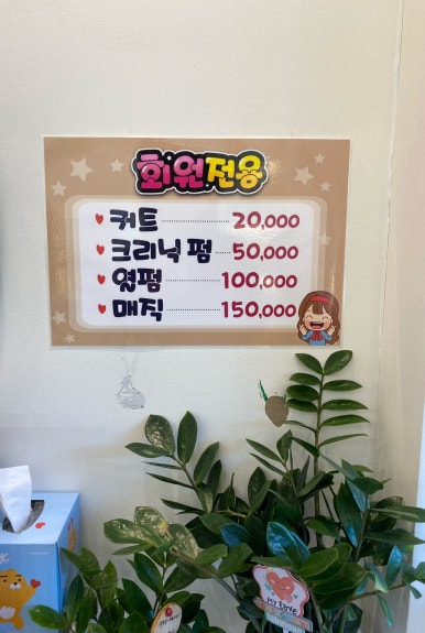 태후사랑머리염색두피 이미지