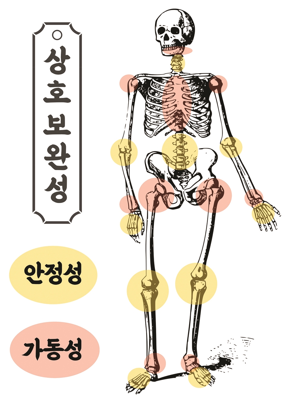 파이어짐오목교역점 이미지