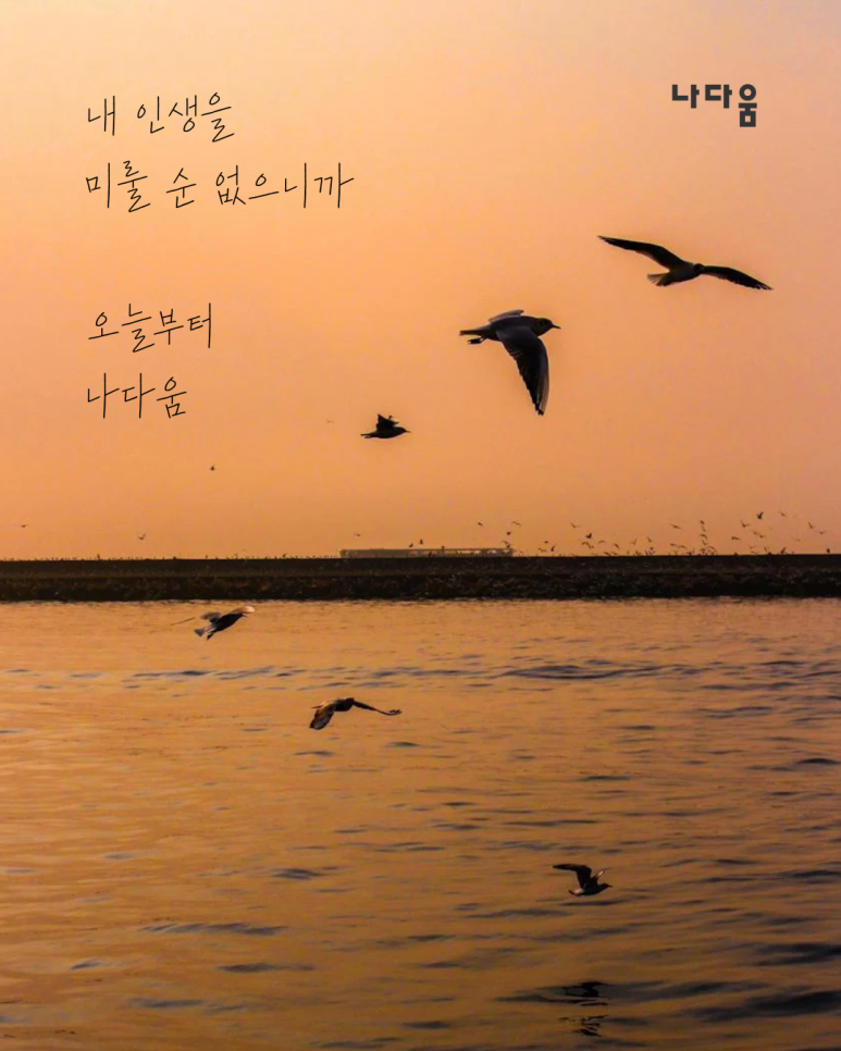 나다움커뮤니티 이미지