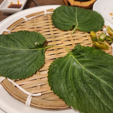 사라있네해물포차 이미지