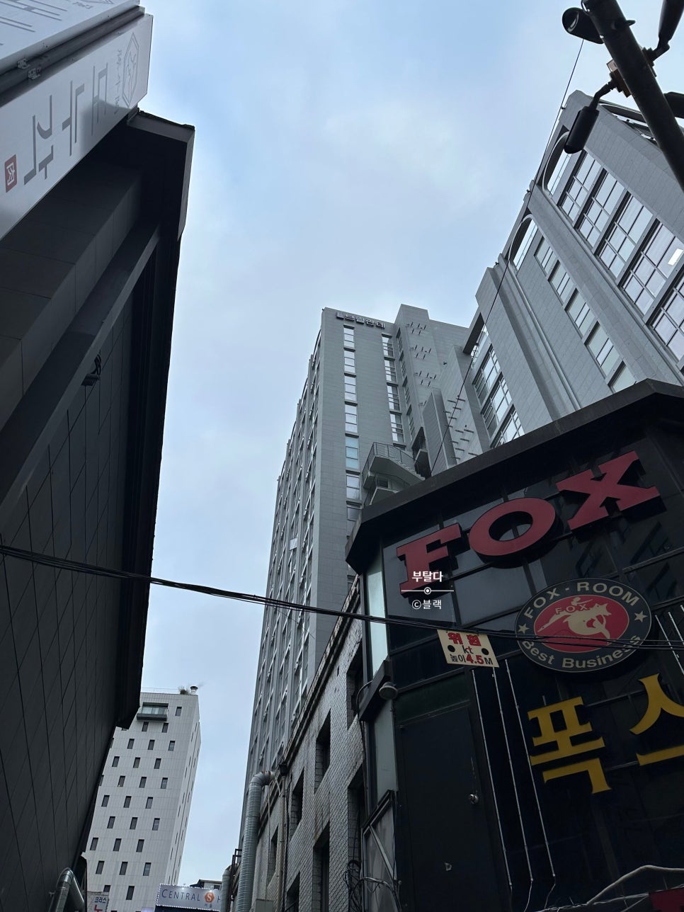 폭스비지니스룸 이미지