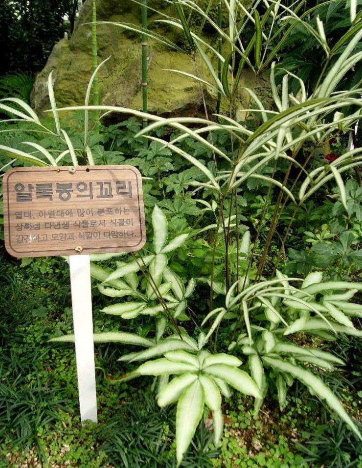 부산식물원 이미지