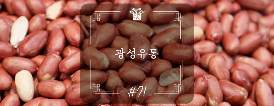 광성유통 이미지