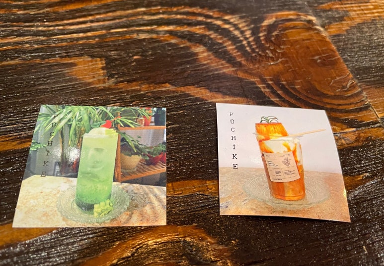 푸치케 이미지