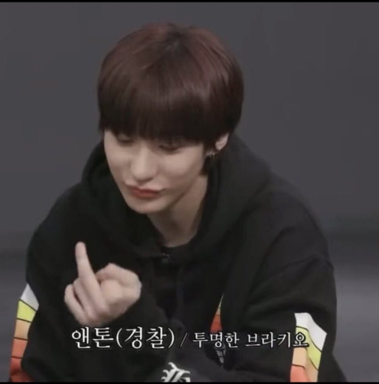 하이데이 이미지