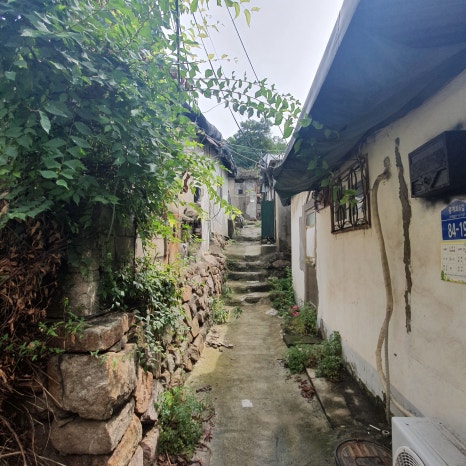 명백사 이미지