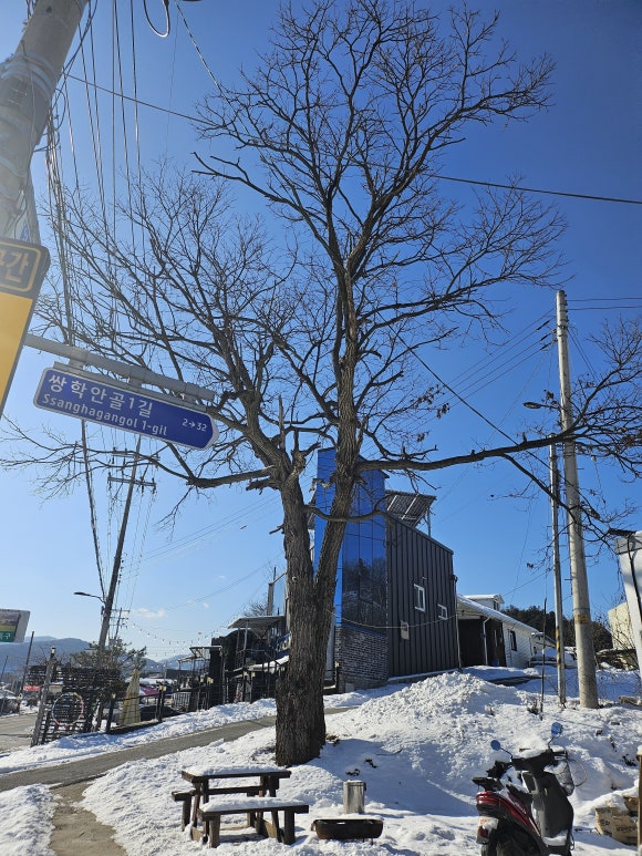말미산정상 이미지